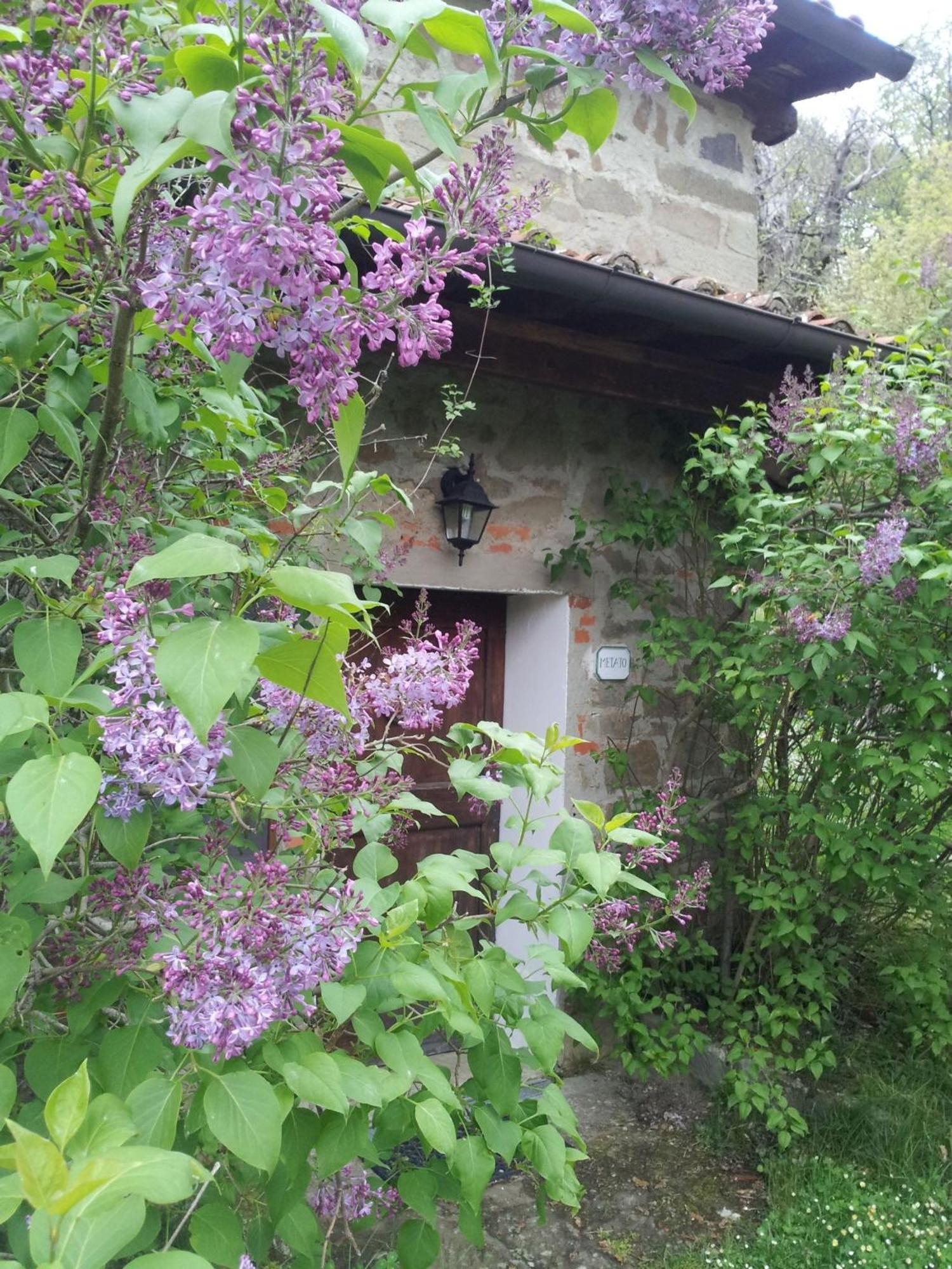 Fattoria Il Praticino - Metato Villa Castelfranco di Sopra Ngoại thất bức ảnh