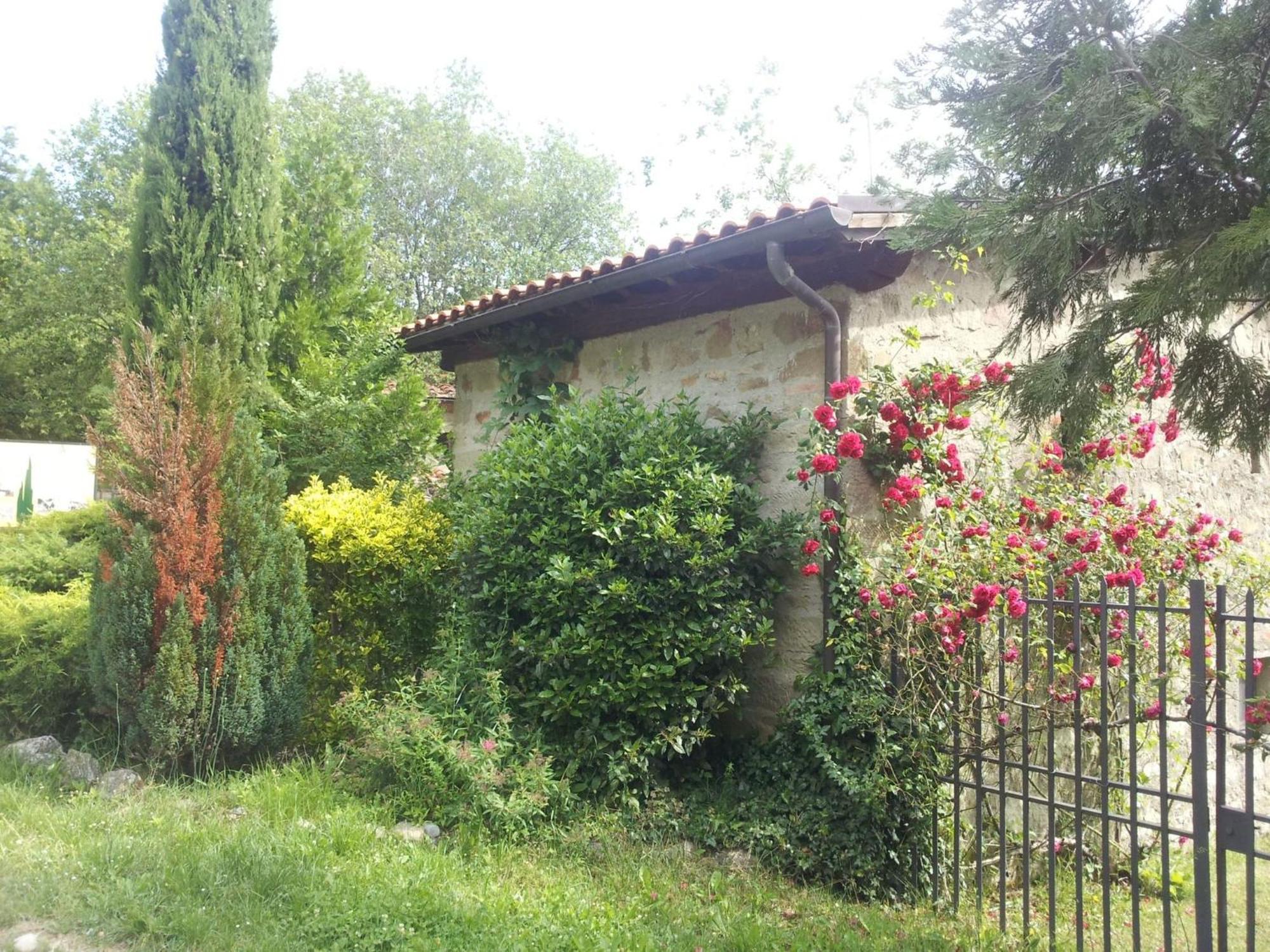 Fattoria Il Praticino - Metato Villa Castelfranco di Sopra Ngoại thất bức ảnh